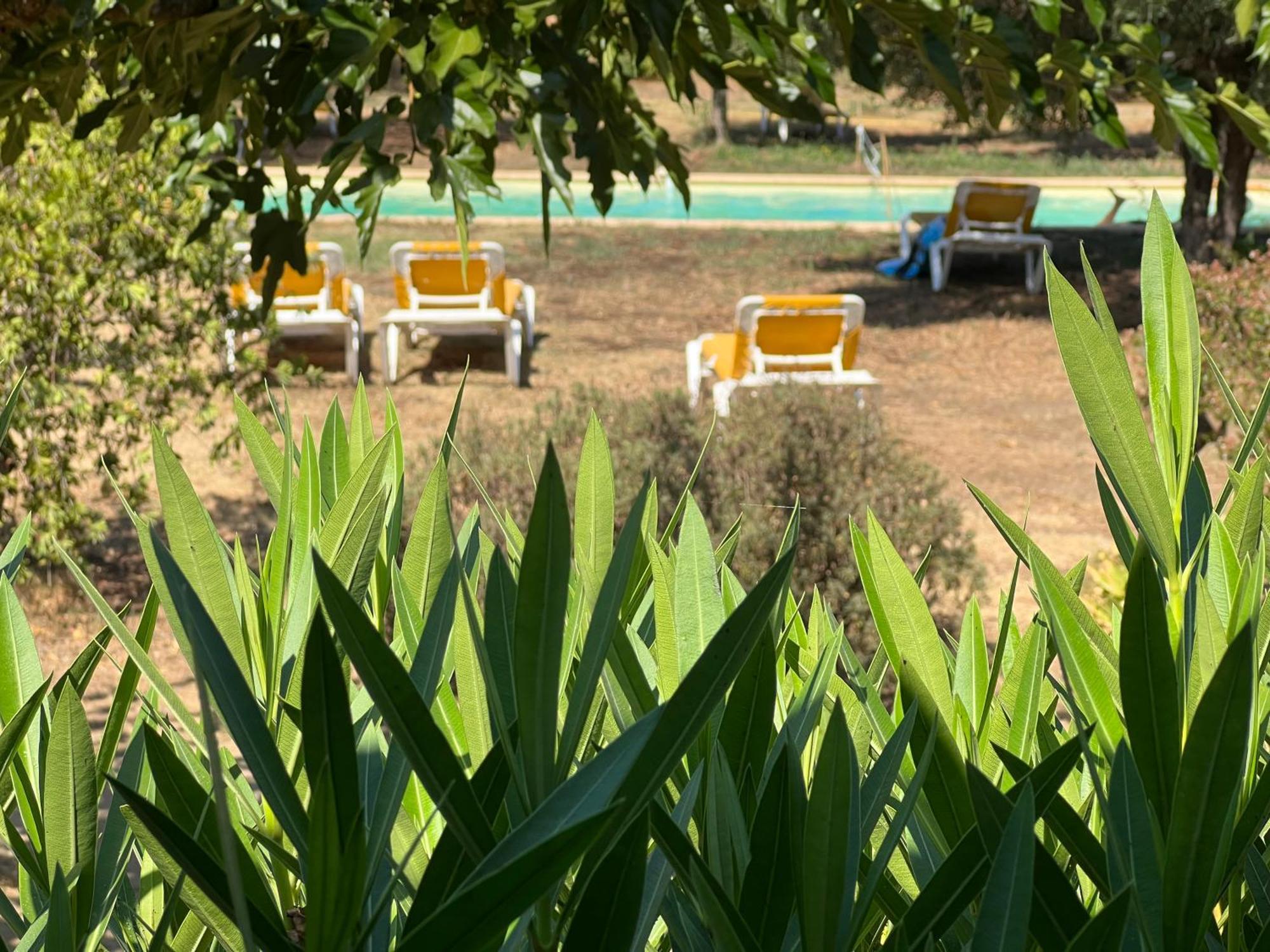Gite Au Paradis, Parc Animalier Olmeta-di-Tuda エクステリア 写真