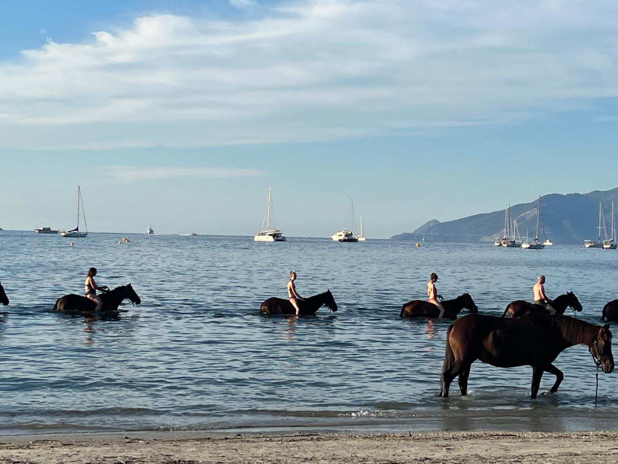 Gite Au Paradis, Parc Animalier Olmeta-di-Tuda エクステリア 写真